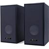 Techly 363265 Set Altoparlanti in Legno per Notebook e PC USB2.0 e Jack 3,5mm Nero