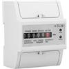 Walfront Contatore Energia Elettrica Meter KWh 220V Monofase 2 Wire 4P su Guida DIN-Rail(20(80) A)