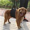 Tnfeeon Imbracatura di sostegno per cani neri portatile di sicurezza, imbracatura per riabilitazione di sollevamento con manico per aiuti canini(M)