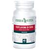 ERBA VITA ISOFLAVONI SOIA 60 CAPSULE 450 MG