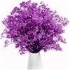 Gipizi Viola Gypsophila Essiccata, 43cm Naturale Fiori Secchi stabilizzata Oltre 3000 Boccioli, Gypsophila Secchi per Matrimonio, Decorazione della Casa, Fai da Te e Partito
