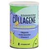 LYSI VITAMIN DAY COLLAGENE ARTICOLAZIONI 390 G