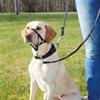 TRIXIE COLLARE MUSERUOLA TOP TRAINER PER L'ADDESTRAMENTO TG. XL CORTO