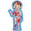 Hape Puzzle Corpo Umano