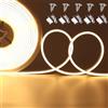 JOYLIT 24V Striscia LED Neon 5M 3000K Bianco Caldo IP67 Impermeabile 4x10MM | Ultra Sottile, Dimmerabili Luci LED 168LEDs/M 2835 SMD Flessibile Nastri LED per Decorazione ( Solo Striscia LED )