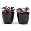 Vimin Box Set di 2 Vasi in terracotta | Misure D.10 cm H.9 cm | Ideali per Piante, Fiori e Bonsai. Coppia di Vasi da Interno ed Esterno | Portavasi Eleganti per Casa, Giardino, Balcone, Terrazzo (Neri)