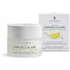 BIOS LINE SpA NATURE'S ACQUE UNICELLULARI AQUAGEL CREMA VISO EFFETTO MAT SPF20 50 ML
