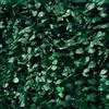 Bonussi Arella Siepe Sintetica Artificiale 1x3m in PVC con Rete Ombreggiante Foglie di Lauro