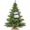 FairyTrees albero di Natale artificiale 180cm Abete Nordmann con supporto in legno | Abete di Natale artificiale con tronco verde | Facile da Montare | Prodotto in EU