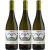 Generico TABURNO Falanghina del Sannio DOP - Masseria Frattasi - Vino Bianco - 13% VOL (3 BT)
