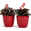 Vimin Box Set di 2 Vasi in terracotta | Misure D.10 cm H.9 cm | Ideali per Piante, Fiori e Bonsai. Coppia di Vasi da Interno ed Esterno | Portavasi Eleganti per Casa, Giardino, Balcone, Terrazzo (Rossi)