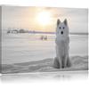 Pixxprint Lupo Bianco sulla Neve Stampa su Tela 60x40 cm Artistica murale