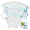 MR.ICE Spedizione Ice Packs Fogli Piccoli riutilizzabili Confezione da 20 Confezioni secche, per conservare Alimenti congelati, Gel congelato per refrigeratori, capacità 3,5 Once