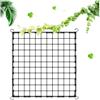 Granmagazz Rete Elastica a Traliccio da Giardino, 120X120cm Rete Di Supporto Per Piante Idroponica,in nylon idroponico,adatta per giardino, cortile, giardinaggio