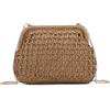 HomKuch Borse Crossbody di paglia da donna estate Beach Shell tessute Borse a frizione con catena rimovibile