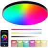 Eregou Plafoniera LED Soffitto Lampadario RGB Rotonda Dimmerabile, 24W 2400LM Colore Plafoniere Compatibile con Alexa, Controllo APP, Impermeabile IP44 Lampada per Bagno Camere da letto, Soggiorni, Cucina