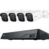 Reolink Sistema NVR 8 canali 4 telecamere bullet 5MP HDD 2TB videosorveglianza PoE