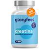 Gloryfeel Creatina Monoidrata, 320 Capsule, 3000 mg di Creatina Pura per Dose, Amminoacido per Migliorare le Prestazioni Fisiche in Palestra*, Supporto Durante e Pre Workout, Vegana e Senza OGM