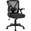 Yaheetech Sedia da Ufficio Scrivania Ergonomica Lombare con Braccioli Altezza Regolabili Ruote Girevoli Schienale in Rete Traspirante Portata 136 kg Nera