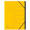 Exacompta - Rif. 540709E - Cartone da 10 raccoglitori con dorso aggraffato, con elastico, copertina stampata in carta lucida e interna in carta riciclata nera, 7 scomparti, 24,5 x 32 cm, formato A4