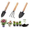 Yuandream Mini Attrezzi da Giardino, 3 Pezzi Mini Giardinaggio Attrezzi Set di Attrezzi da Piante Piccola Rastrello Pala con Manico in Legno per Piante in Vaso di Fiori piantine di Piante Bonsai