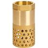 ROOwarMer Valvola fondo pompa acqua 1/2 3/4 1 1-1/4 1-1/2 2 2-1/2 3 pollice - valvola non ritorno pompa valvola di fondo con filtro (1-1/4 pollice)