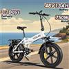 E-Bike 750W Motore 48V13AH Batteria rimovibile Freni idraulici Bici elettrica 20 pollici Fat Tire Pieghevole Pendolarismo Bicicletta elettrica - white