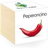 iGreen Cube Fiori & Piante in Cubi di Legno - Peperoncino