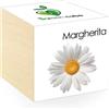 iGreen Cube Fiori & Piante in Cubi di Legno - Margherita