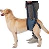COODEO Pettorina per cani, imbracatura per sollevamento con supporto per zampe posteriori, per cani anziani e con gambe posteriori deboli dopo intervento chirurgico (XXL, Blu)