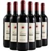 Castello del Terriccio Toscana IGT Tassinaia 2021 Box da 6 bottiglie