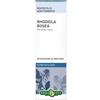 ERBA VITA GROUP SpA RHODIOLA ROSAE 60CPS 30G EBV