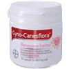 BAYER SpA Gyno Canesten Canesflora Integratore per Benessere Vaginale 30 Compresse