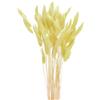 QUARKZMAN 60pz Coda di Coniglio Naturale Fiori Secchi 43cm Mini Erba di Pampa per Decorazioni Floreali Matrimonio Natale, Giallo