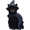 Nemesis Now Bewitching Unisex Statuetta standard poliresina