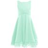 iiniim Ragazza Vestito in Chiffon Balze da Principessa per Cerimonia Nuziale, Spettacolo della Damigella d'Onore Festa di Compleanno 4-14 Anni Mint Green 12 Anni