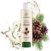 AROMATUM Infuso per Sauna, 250ml Infuso per Sauna Concentrato con Olio Essenziale di Pino | Oli Essenziali BIO Essenza per Sauna Naturale | Intensivo Olio per Aromaterapia, Accessori per Sauna