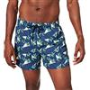 Arena M Fantasy, Pantaloncini Uomo, Navy-White-Green, XL