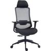 OFFICER PRODUCTS Sedia da ufficio Siros con braccioli regolabili/sedia da scrivania ergonomica con rivestimento in rete/supporto lombare/braccioli 4D, colore nero/sedia da ufficio