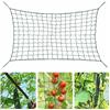 HOOPOE Rete per Piante Rampicanti,Rete per Cetrioli Rampicanti,Rete per Orto Rampicanti in Polietilene,Rete per Fagiolini Rampicanti,2 x 5 m Verde Rete per Pomodori per Frutta,Fiori e Piante Rampicanti