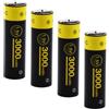 TangsFire 1.5V USB-C Batterie AA AAA ricaricabili 3000mWh 1000mWh Pile Ricaricabili AA Litio 1500 Cicli con Cavo USB-C, 4 pezzi (AA 1.5V 3000mWh)