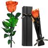 Touloube Rosa Stabilizzata Regalo per la Festa Della Mamma per Donne - Vera Eterna Rosa Fiori Regalo, Idee Regalo Donna Compleanno Anniversario Per Lei, Regali Mamma Fidanzata Moglie Sorella