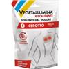 PIETRASANTA PHARMA SPA Vegetallumina Cerotto Riscaldante 1 Pezzo