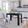 MOBCANT Tavolo da Pranzo, Tavoli alti Tavoli da sala Tavoli girevoli Tavoli allungabili Utilizzabile per Sala da pranzo Appartamento Albergo Salone Nero 120x60x76 cm in Legno Multistrato