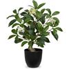 Arborus Piante artificiali alte 40 cm, alberi di alloro verde da interno in vasi neri, piante finte piccole piante finte in vaso piante artificiali decorative per casa per cucina bagno mensola