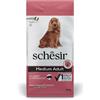 Schesir Dog Medium Adult con Prosciutto per Cani - Sacco da 12 kg - OFFERTA SPECIALE!