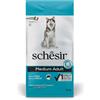 Schesir Dog Medium Adult con Pesce per Cani - Sacco da 12 kg - OFFERTA SPECIALE!