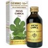 DR.GIORGINI SER-VIS SRL Gemmo 10+ Fico Liquido Analcolico 100 Ml