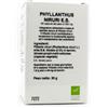OTI SRL Phyllanthus Niruri Estratto Secco 60 Capsule