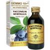 DR.GIORGINI SER-VIS SRL Gemmo 10+ Gemmoderivato Concentrato Vaccinium Myrtillus Mirtillo Nero Senza Alcool 100 Ml